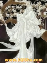 明月曾照江东寒小说