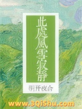 此处风雪寂静小说