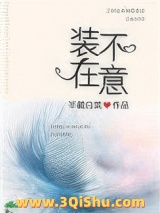 装不在意小说