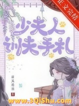 少夫人训夫手札小说