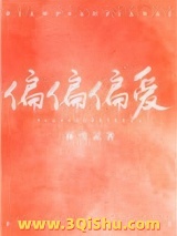 偏偏偏爱小说