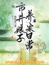 市井娘子养家日常小说