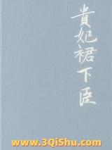 贵妃裙下臣小说