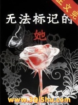 无法标记的她小说