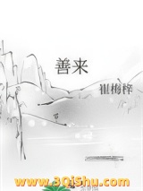 善来小说