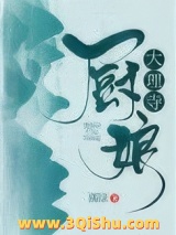 大理寺厨娘小说