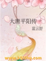 大唐平阳传小说
