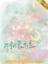 柠檬挞小说