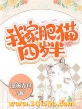 我家肥猫四岁半小说