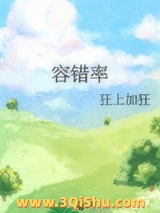 容错率小说