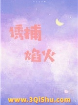 诱捕焰火[娱乐圈]小说