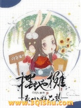 表小姐只想摆地摊小说