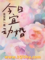 今日宜动婚小说