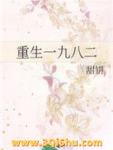 重生一九八二小说