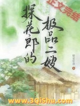 探花郎的极品二嫂小说