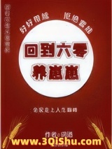 回到六零养崽崽小说