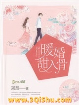 暖婚甜入骨小说