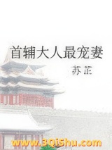 首辅大人最宠妻小说