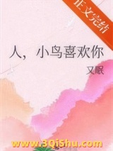 人，小鸟喜欢你小说