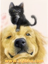 穿成猫后靠玄学爆红小说