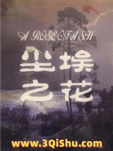 尘埃之花小说