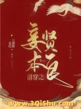 清穿之妾本贤良小说