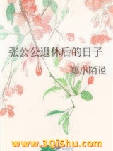 张公公退休后的日子小说