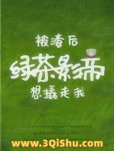 被渣后绿茶影帝想撬走我小说