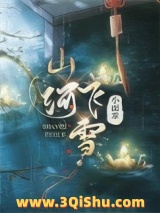 山河飞雪小说