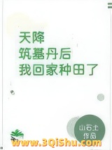 天降筑基丹后我回家种田了小说