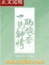 一见钟情的概率小说