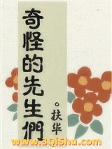 奇怪的先生们小说