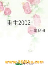 重生2002小说