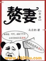 赘妻（女尊）小说