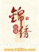 锦绣医缘小说
