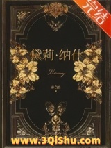 十九世纪百货公主小说