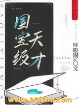 国宝级天才小说