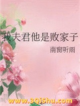 我夫君他是败家子小说