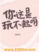 你这是玩不起呀？小说