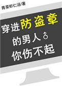 穿进防盗章的男人你伤不起小说