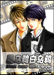 黑乌鸦白乌鸦小说