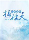 一不小心捅破天小说