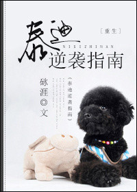 泰迪逆袭指南[重生]小说