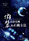 假装高深莫测的正确方法小说