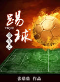 重生之踢球小说
