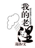 我的老师小说