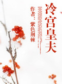 冷宫皇夫小说