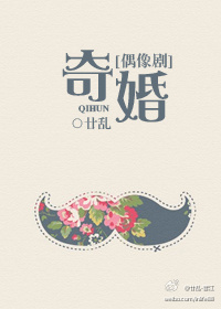 奇婚[偶像剧]小说