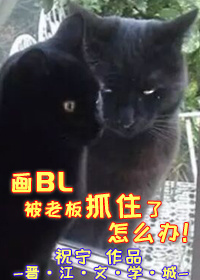 画BL被老板抓住了怎么办小说