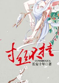 寸丝不挂（武林秘闻录）小说